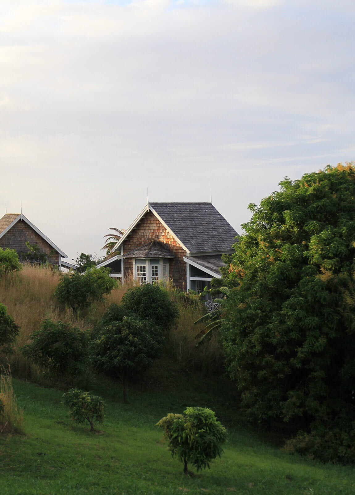 stkitts-nevis-vatandasligi-nasil-alinir